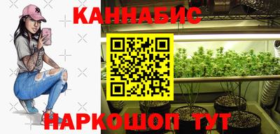 крисы Ирбит