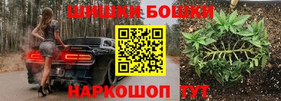 крисы Ирбит