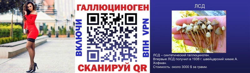 Псилоцибиновые грибы Psilocybine cubensis  где можно купить наркотик  Северск 