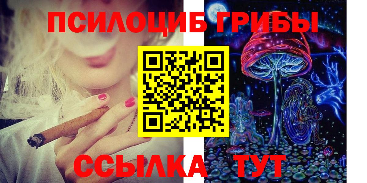 Северск  Псилоцибиновые грибы Cubensis  Вход с VPN 
