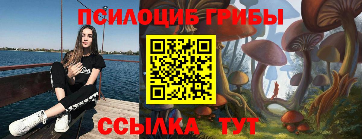 Галлюциногенные грибы прущие грибы  где можно купить наркотик  Северск 