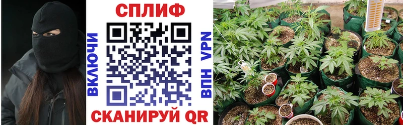 Шишки марихуана THC 21% Северск